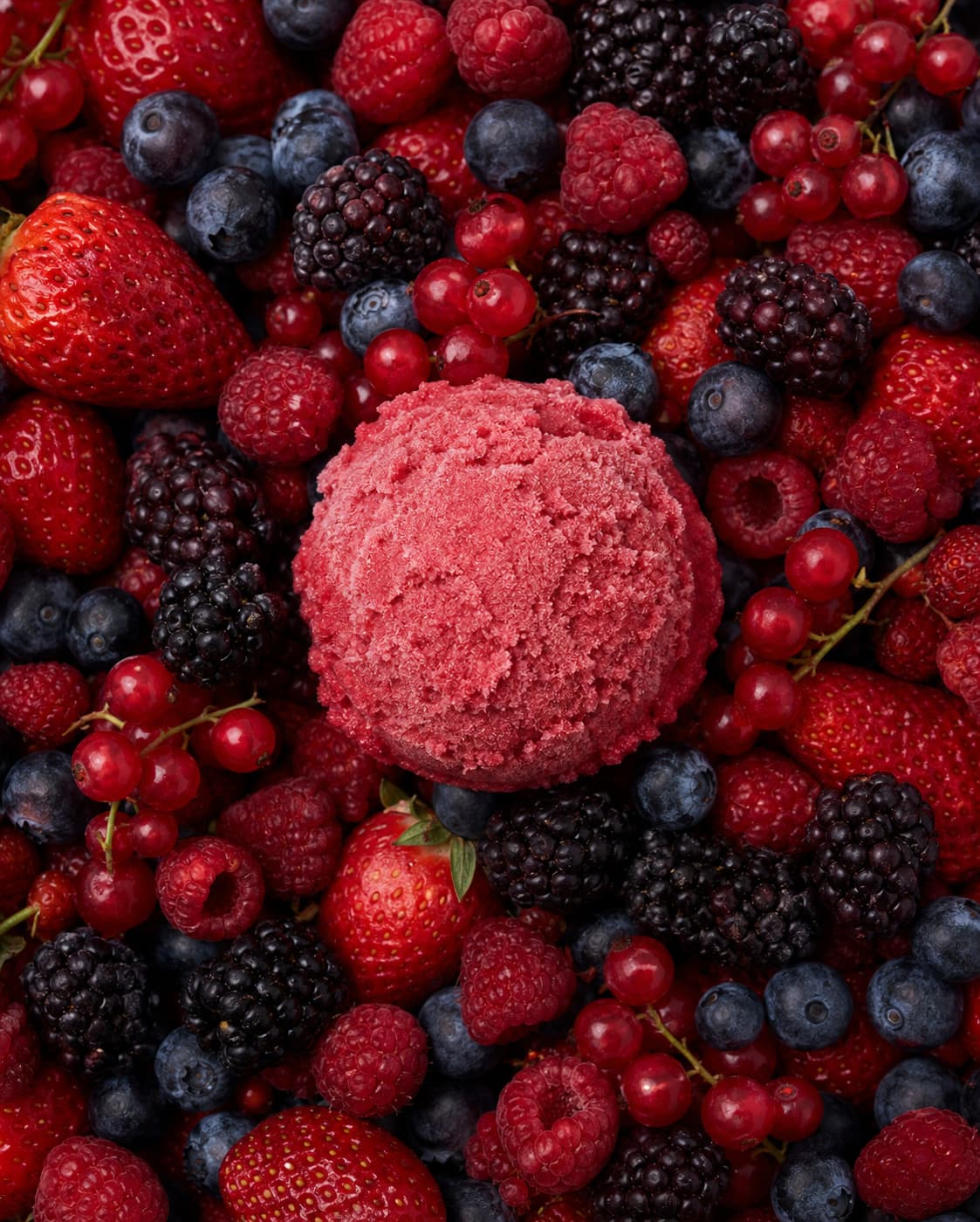 Frutos Rojos