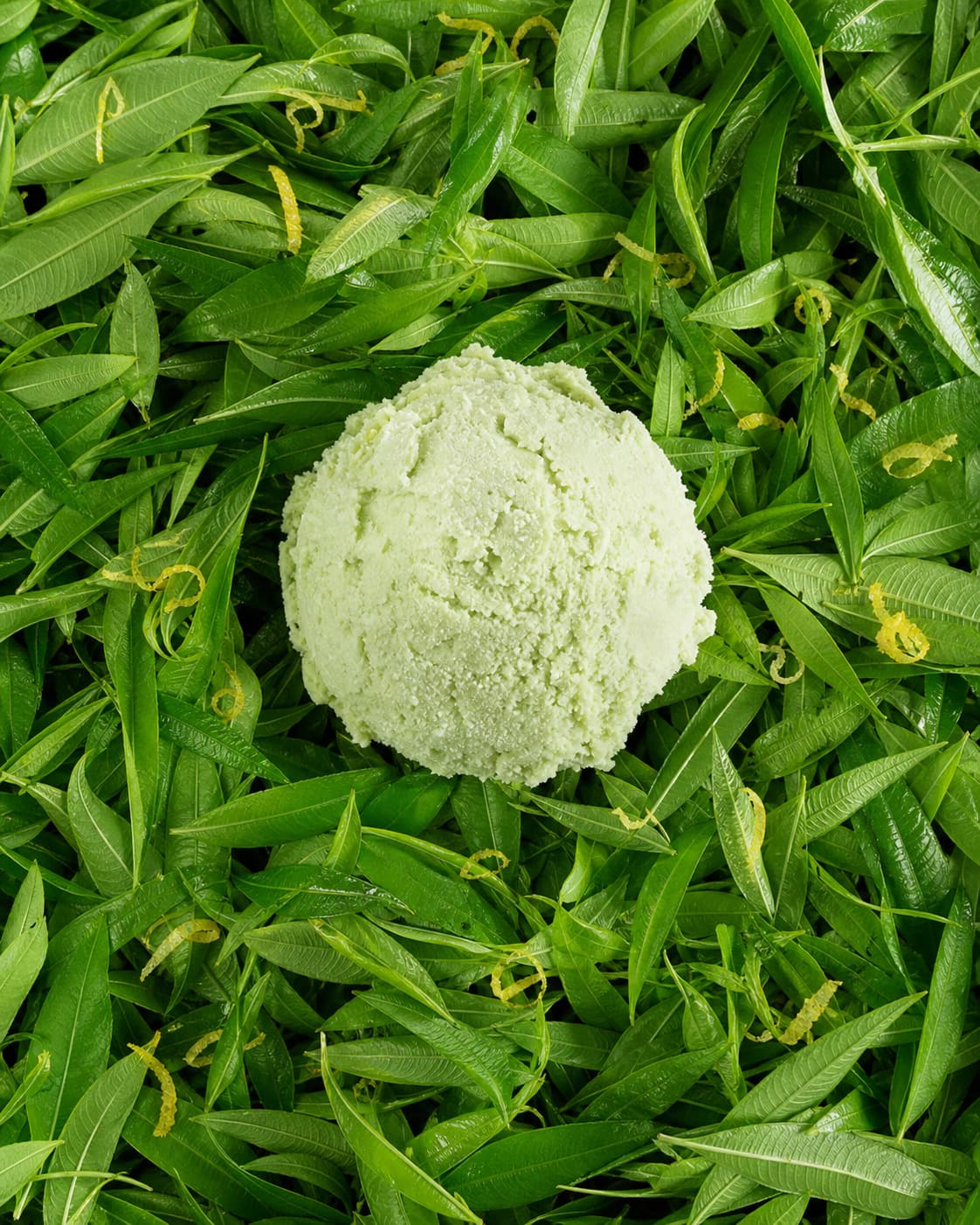 Hierba Luisa