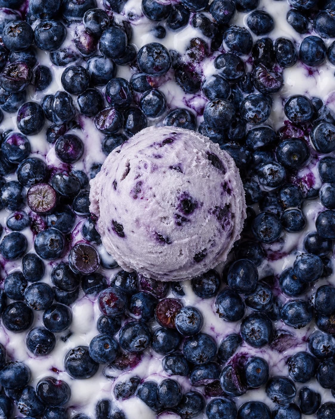 Yogurt de Arándanos